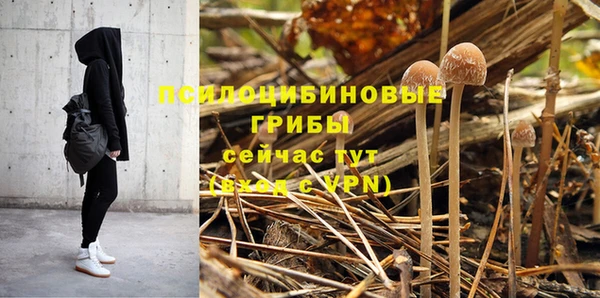 марки nbome Бородино