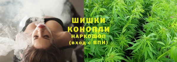 марки nbome Бородино